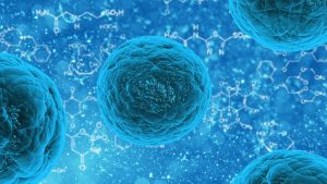 stem cell 163711 1280