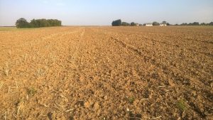 Iowa Patent of the Month - June 2021