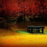 fire_autumn_wallpaper_autumn_nature_wallpaper_1452-1