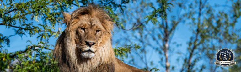 us patent of the month zoos wildlife nature