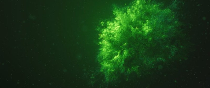 West Virginia Patent of the Month – December 2021