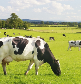 Alabama Patent of the Month – February 2026