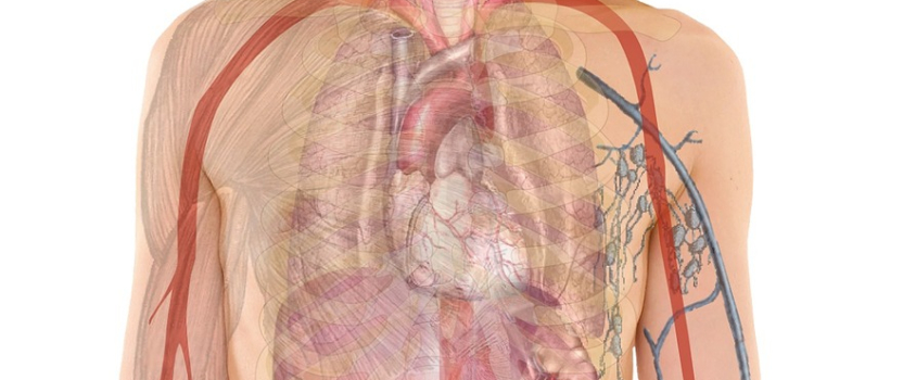 New Hampshire Patent of the Month – November 2025
