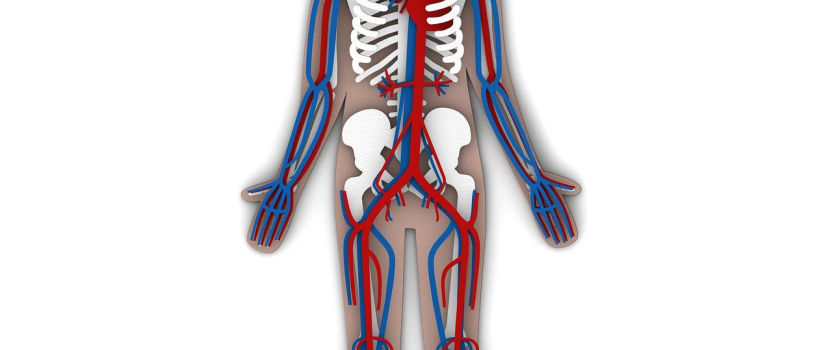 Hawaii Patent of the Month – November 2025