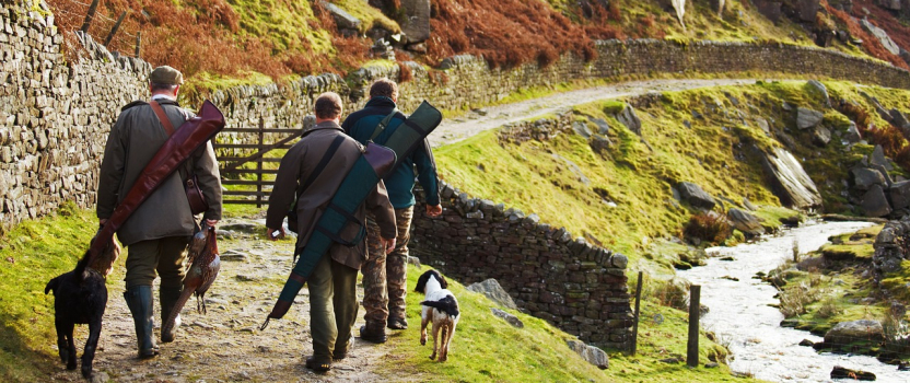 Louisiana Patent of the Month – June 2021