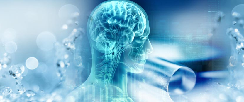 Worldwide Innovation Leaders Come Together Over AI