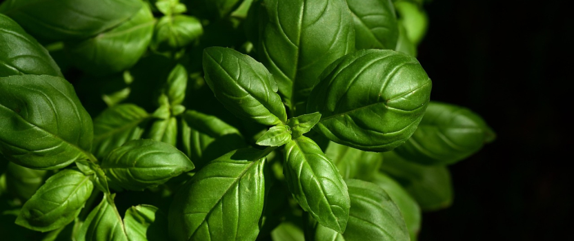 Wisconsin Patent of the Month – November 2025