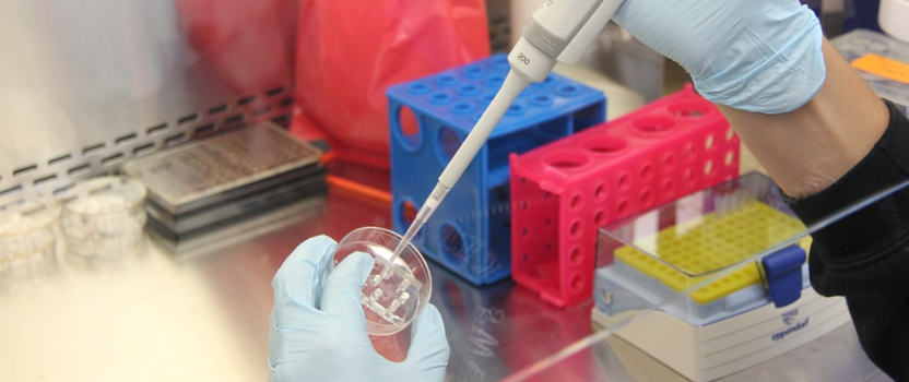 Massachusetts Patent of the Month – February 2025