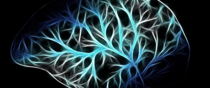 Sense Neuro Diagnostics Joins MedTech Accelerator Third Cohort