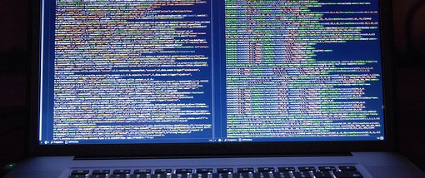 Hawaii Patent of the Month – February 2024