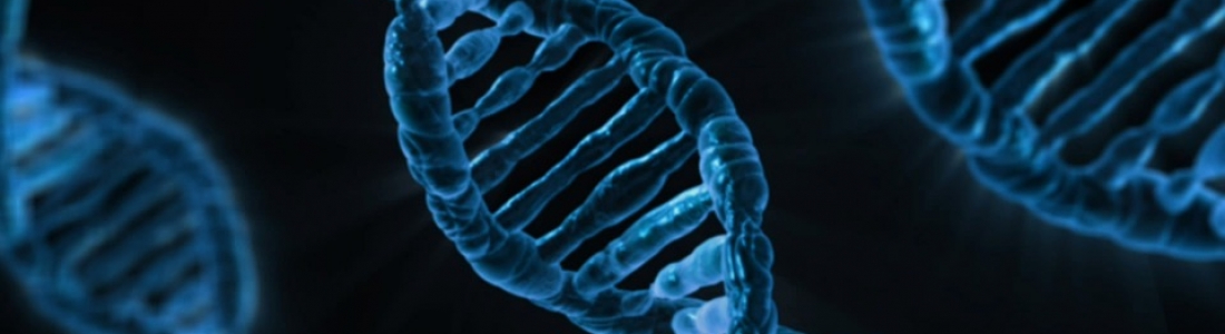 Could human gene therapy be the next cancer cure?