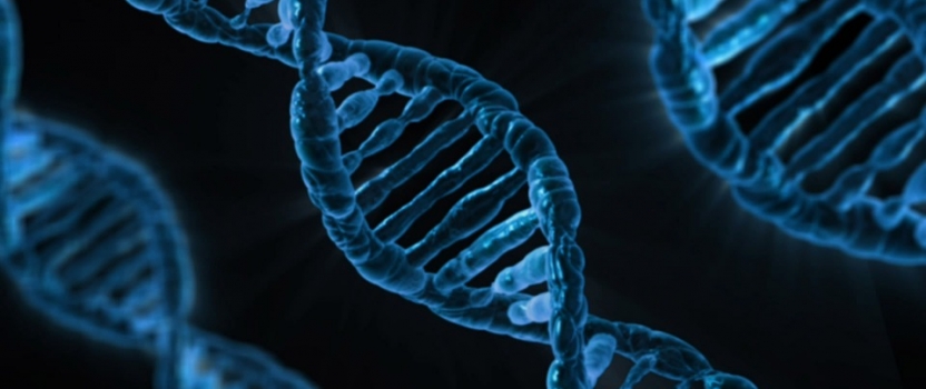 Kriya Therapeutics’ $150M Boost to Series C Funding for Breakthrough Gene Therapies