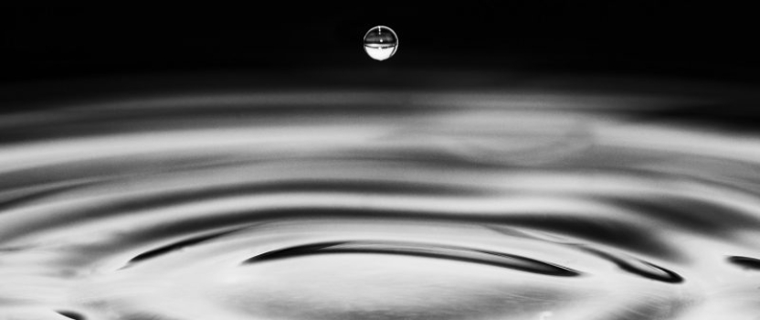 Kentucky Patent of the Month – July 2022