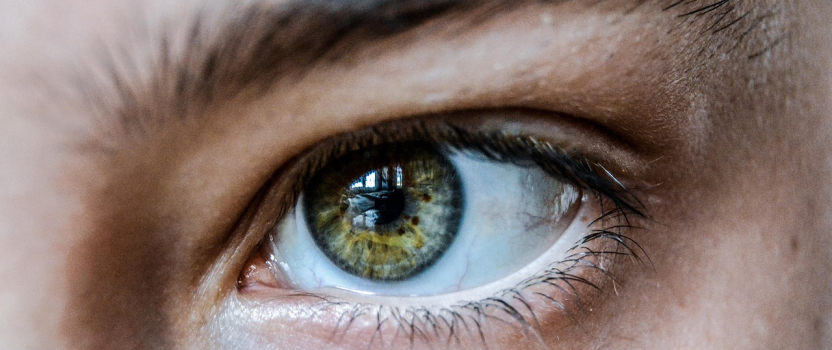 South Carolina Patent of the Month – January 2026