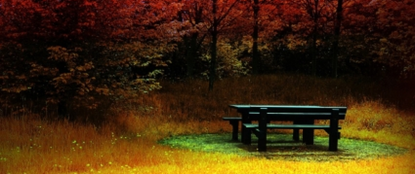 Iowa Patent of the Month – January 2026