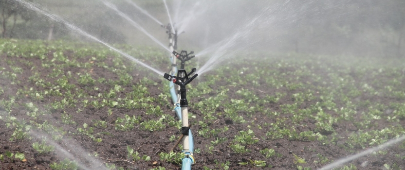An Innovative Irrigation Project to Help Farmers in Alabama