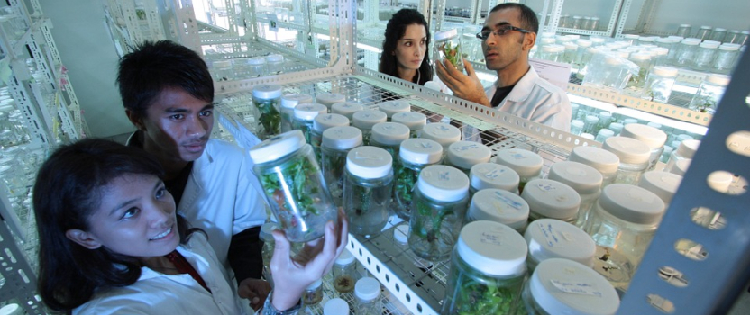 Significant R&D scheme attracting scientists from around the world