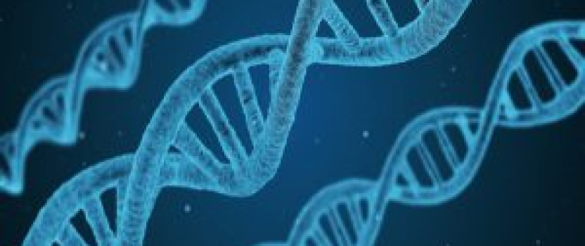 Missouri Patent of the Month – September 2024