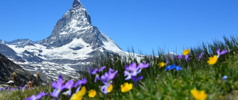 Companies that have the best reputation as innovators aren’t necessarily those that spend the most on R&D