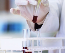 Arkansas Patent of the Month – February 2026