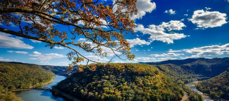 WEST VIRGINIA INVENTIONINDEX | DECEMBER 2025