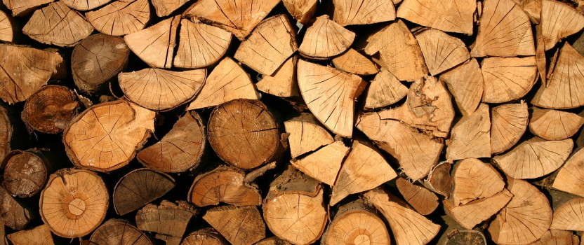 North Carolina Patent of the Month – November 2025